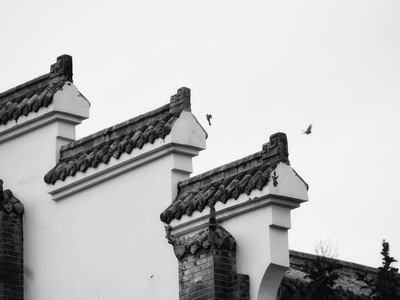 街拍-风光-黑白-墙-墙壁 图片素材