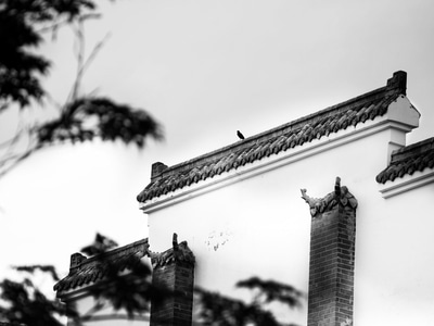 街拍-风光-黑白-墙-墙壁 图片素材