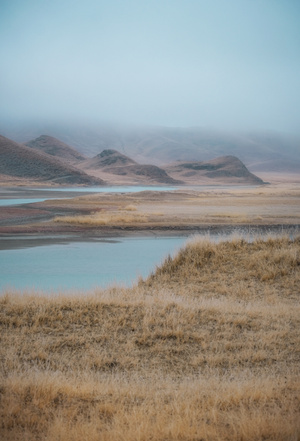 风光-雾气-风景-草-草地 图片素材