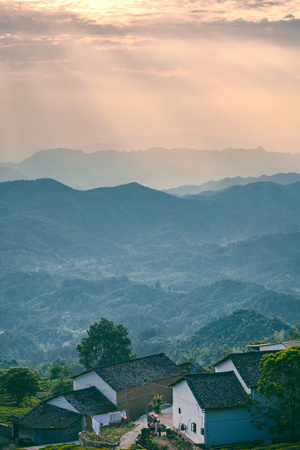 haida滤镜签约-茶园-金龙山-安徽-皖南 图片素材