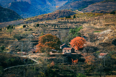 日照市-旅途-看你的城市-风光-风景 图片素材