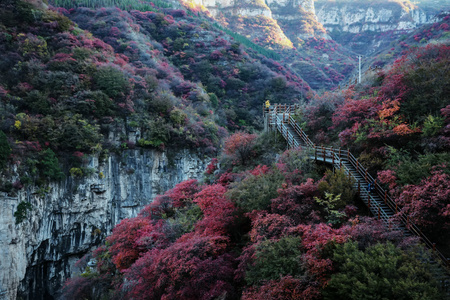 黄花溪-青州-自然-风光-风景 图片素材