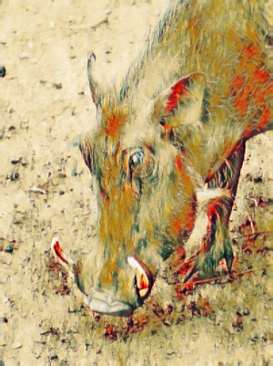 自嗨-滤镜-动物-猪-野猪 图片素材