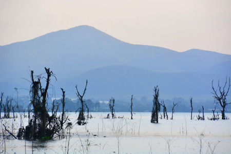 随拍-风光-旅行-肯尼亚-纳瓦沙湖 图片素材
