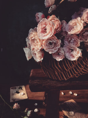 #我要上封面-静物-花卉-玫瑰-篮子 图片素材
