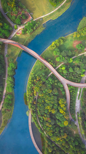 河西-生态公园-桥-生态公园-河西 图片素材