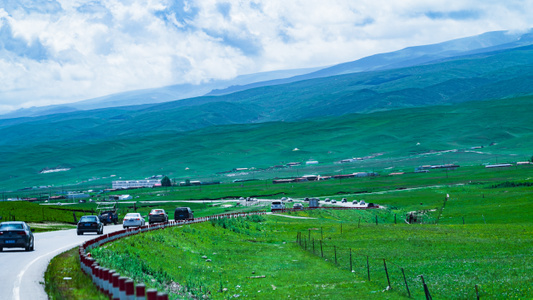 草原-青海-你好2020-在路上-牛羊 图片素材