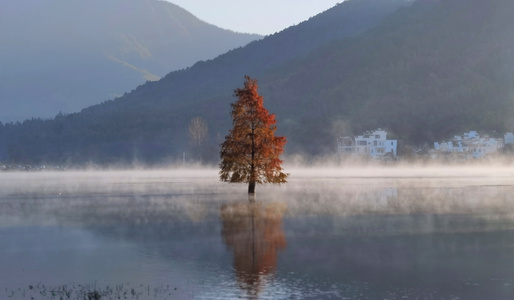 旅途-徽州-黄山市-秋色-沿途风光 图片素材