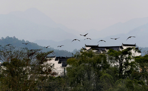 徽州-家乡-沿途风光-秋色-黄山市 图片素材