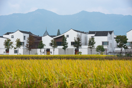 haida滤镜签约-风光-建筑-稻田-小镇 图片素材