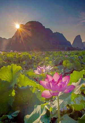你好七月-桂林-旅游-自然-风景 图片素材
