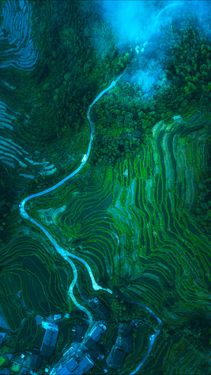 梯田-航拍-高空-森林-山路 图片素材