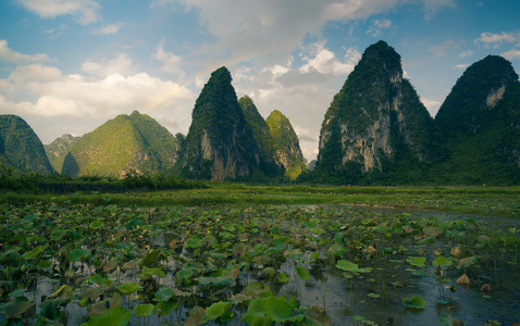 haida滤镜签约-绿-光影-风光-风景 图片素材