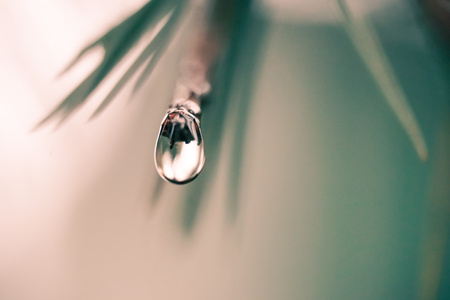 微距-秋日-暖色-水滴-露珠 图片素材