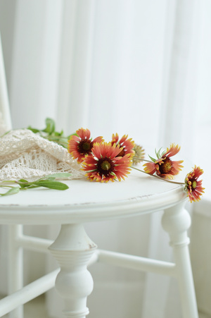 生活-静物-花卉-餐巾-椅子 图片素材