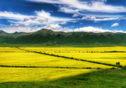 风景-旅拍-风景-风光-草地 图片素材