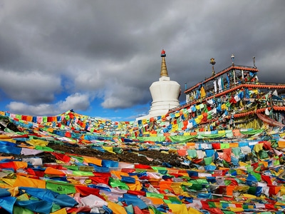 你好2020-手机摄影-微距-风景-旅拍 图片素材