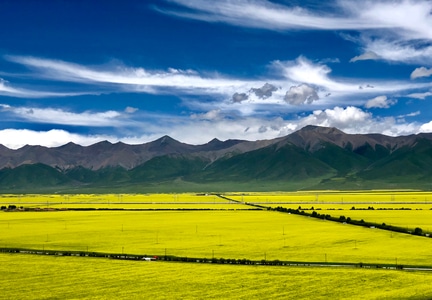 风景-旅拍-油菜花海-山-山峰 图片素材