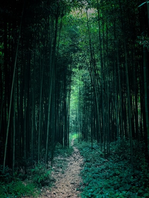 风光-旅行-70周年摄影大赛-光影-风景 图片素材