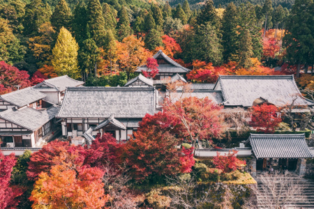 光-航拍-风光-影-旅行 图片素材
