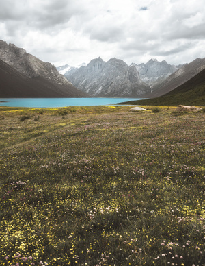 高海拔-青海-微单-自驾-旅行、藏区、风景 图片素材