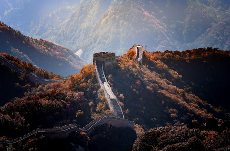 我要上封面-秋-树-风景-自然 图片素材