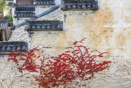无梦-江南-墙壁-历史-画卷 图片素材