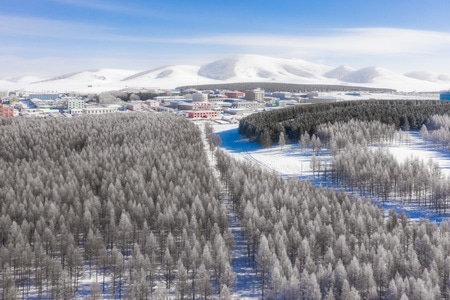 赤峰市-坝上-雪景-马-狼 图片素材