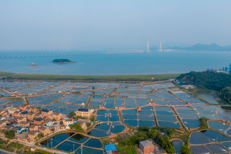 宁波市-航拍-海鲜养殖基地-宁波市-水面 图片素材