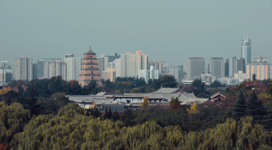 建筑-城市-天空-城市风光-城市 图片素材