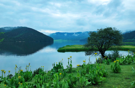 迪庆藏族自治州-水-自然-风光-风景 图片素材