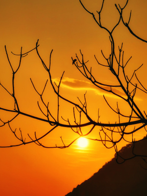 宁德市-夕阳-自然-风景-夕阳 图片素材