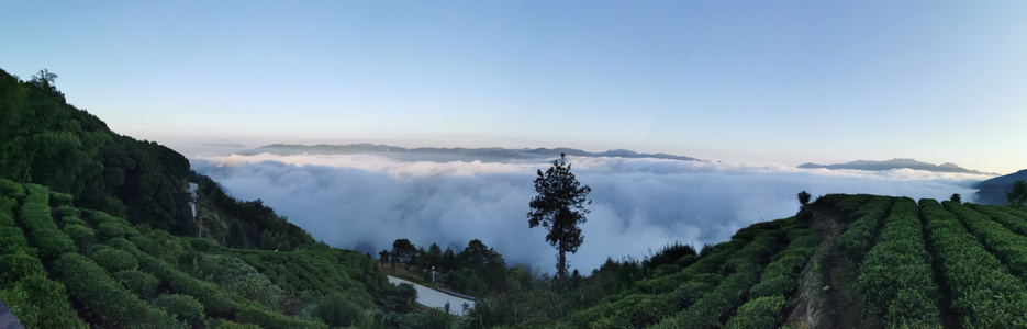宁德市-晨雾-自然-风光-风景 图片素材