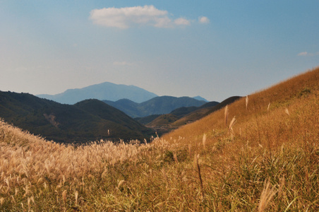 宁德市-草场-自然-风光-风景 图片素材