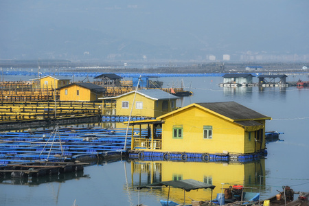 鱼排-海-城市-城市风光-建筑 图片素材