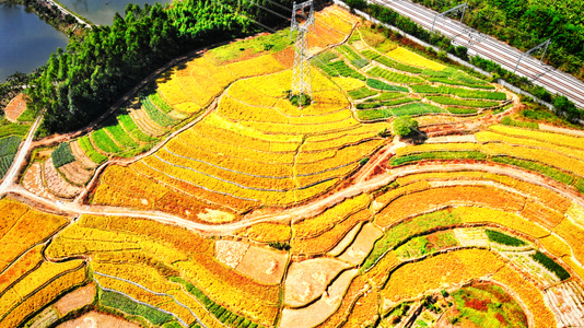 风光-风光-田野-耕田-田地 图片素材