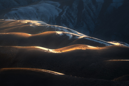 新疆-雪地-自然-风光-草原 图片素材