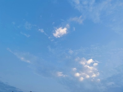 你好2020-喜欢一切美好的事-蜜蜂影像-原创-in摄汇 图片素材