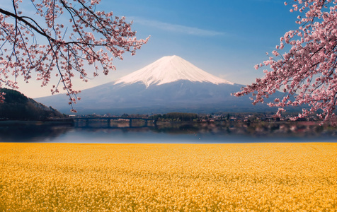 富士山-大场景-构图-攀枝花-城市风光-创意 图片素材
