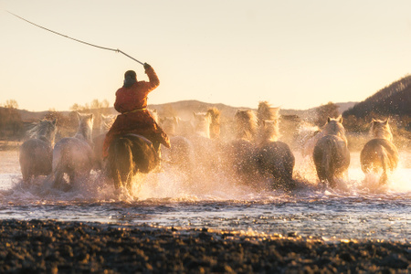 奔马-沿途风光-风景-马-牧人 图片素材