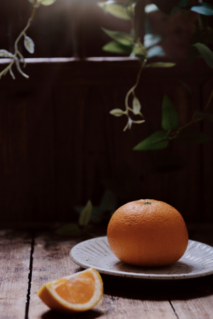 橙子-美食-静物-秭归橙-橙子 图片素材