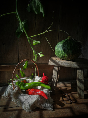 静物美食摄影-健康养生食品-手机静物-七月蔬菜-光影 图片素材
