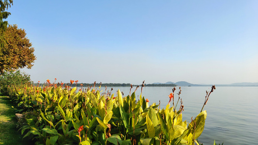 武汉市-记录-生活-天空-风景 图片素材