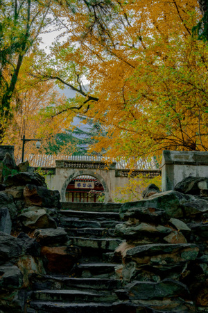 秋色-秋天-寺庙-风景-寺庙 图片素材