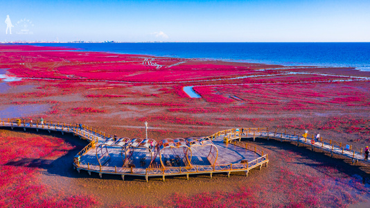 盘锦市-红海滩-盘锦红海滩-风光-航拍 图片素材