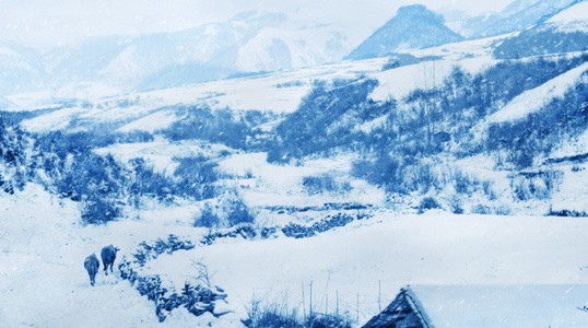 水墨风-风景-雪地-自然-风光 图片素材