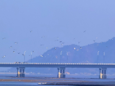 十月你好-一起加油-风景-风光-桥 图片素材