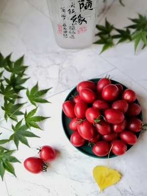 静物拍摄-我要上封面-小番茄-美好的时光-水果 图片素材