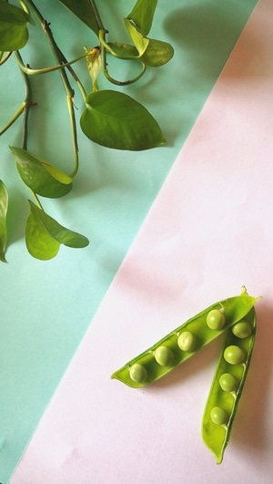 静物拍摄-宅家-蔬菜-豌豆-豆子 图片素材