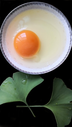 静物拍摄-鸡蛋-食物-食材-鸡蛋 图片素材